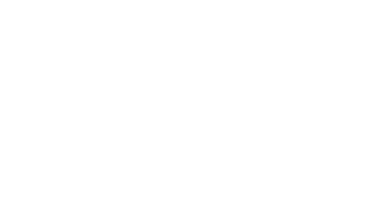 Local Digital Expert